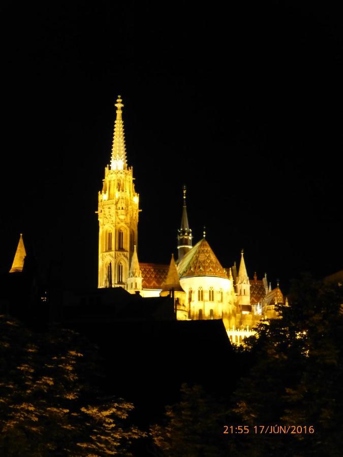 Apartment Elegant With Buda Castle View *